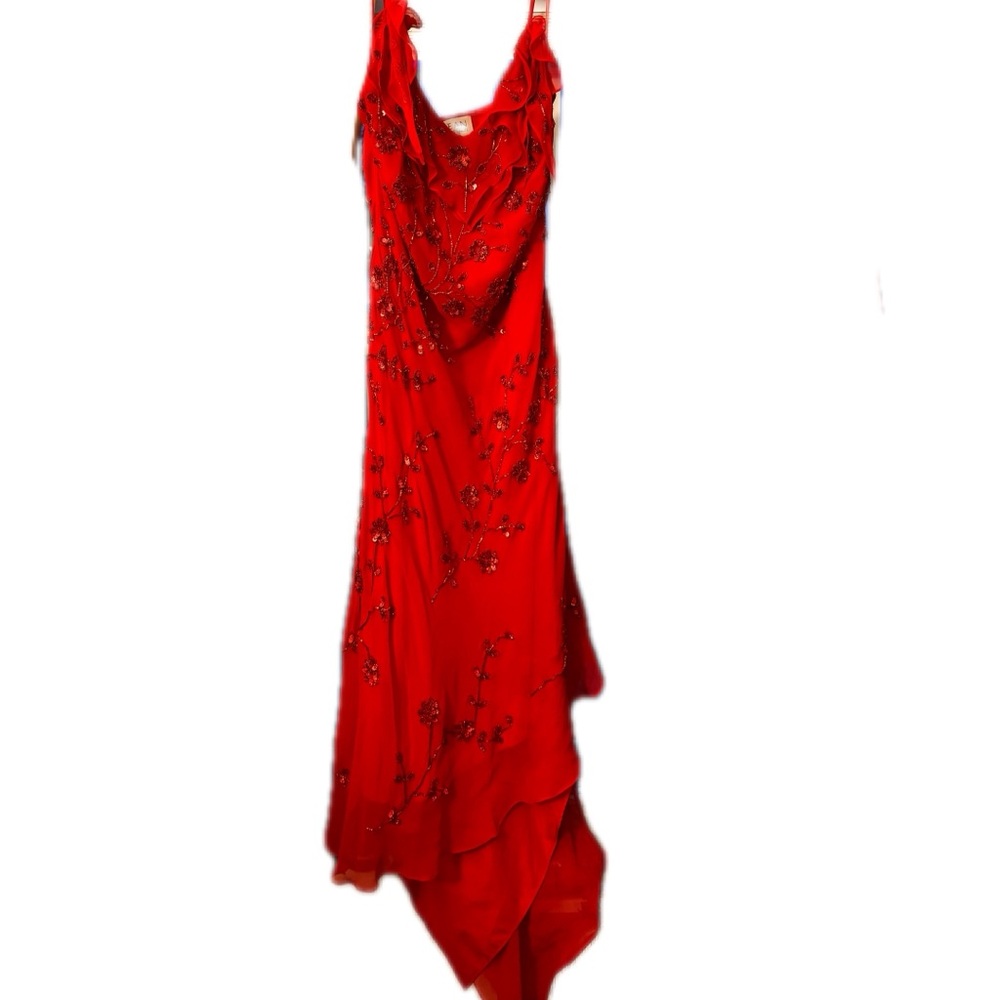 Elegant Red Evening Dress prom dress